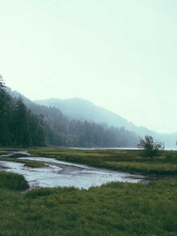 A phone displaying a specialized calculator interface for home projects.